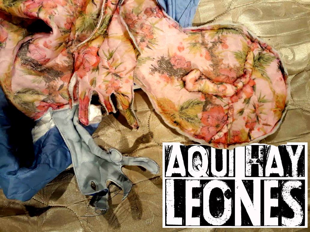 Aquí hay leones