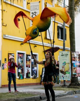 El Pájaro del fin del mundo