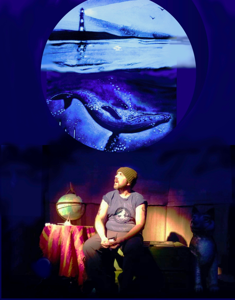 Historia de Ballenas