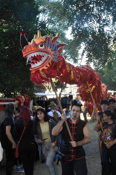 Danza del Dragón Chino